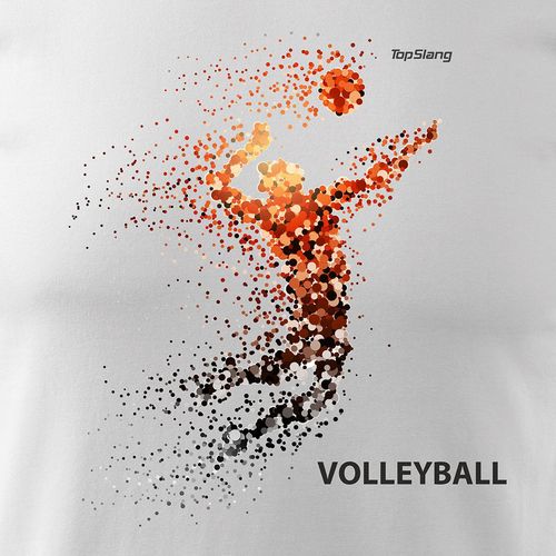 Koszulka siatkówka Volleyball męska biała REGULAR L na Arena.pl
