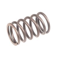 Sprężyna zaworu Rato silnik R440 12103-Z710110-0000