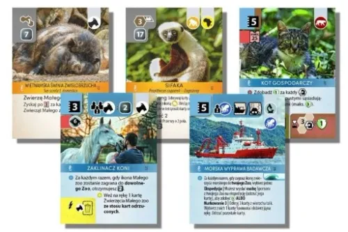 Gra Ark Nova: Wodny Świat na Arena.pl