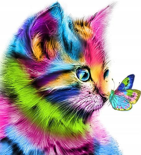 Obraz MALOWANIE PO NUMERACH Kot Kotek 40x50 na Arena.pl