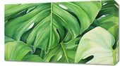 Obraz 70x40cm Tajemnice Liści