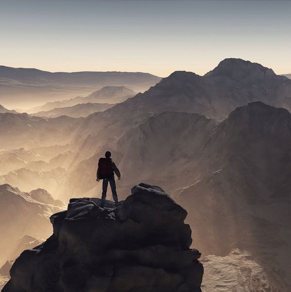 Combat shirt woodland PL rozmiar XL zdjęcie 2