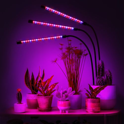 lampa led do wzrostu roślin 60 diod timer 24 w uprawa roślin do domu na Arena.pl