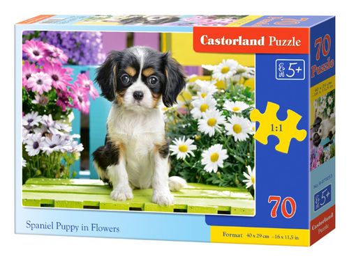 Castorland urocze Puzzle 70 elem. CA0003 na Arena.pl