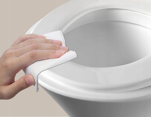 DESKA WC SEDESOWA WOLNOOPADAJĄCA WYPINANA KLOZETOWA UNIWERSALNA RDW-01 na Arena.pl