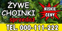 BANER 100x200 cm SPRZEDAŻ CHOINEK duży wybór