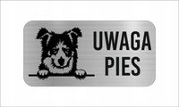 GRAWER Tabliczka nierdzewna laminat 20x10 cm UWAGA PIES border collie