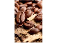 OBRAZ ZIARNISTA KAWA BARISTY