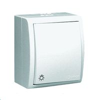 AQUARIUS PRZYCISK ŚWIATŁO IP54 BIAŁY AQS1/11 - E131AA-KN293