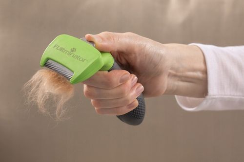 FURminator dla psów średnich sierść krótka M na Arena.pl