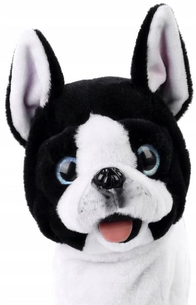 PIESEK INTERAKTYWNY CHODZĄCY NA SMYCZY Pies BULDOG CHODZI SZCZEKA MERDA zdjęcie 5