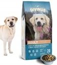 karma dla psa DIVINUS ADULT DOG dla Labradora Owczarka 20kg na Arena.pl
