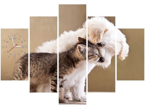 105CM 150CM ZEGAR 5 ELEM PRZYJACIELE DRUK OBRAZ na Arena.pl