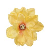 product-compare-61190988