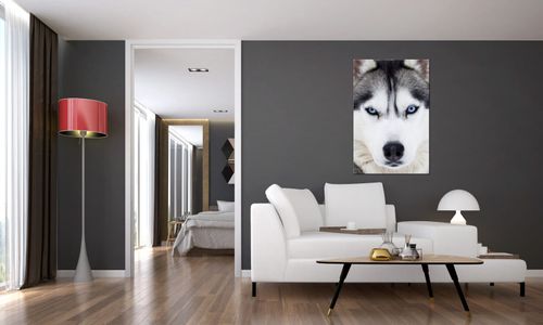 Obraz Na Ścianę 60X90 Husky na Arena.pl