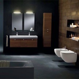 Misa WC Carter na Arena.pl