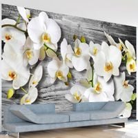 Fototapeta - Oziębłe orchidee III 250x175