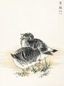 Plakat 15x20cm Black Brant, Kashu Japoński Vintage do Salonu