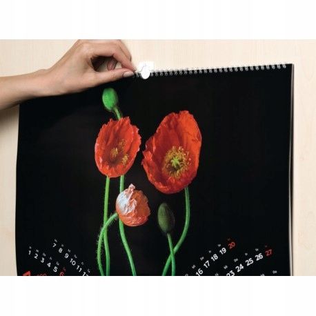 TESA POWERSTRIPS Haczyki samoprzylepne do ramek zdjęć obrazów 1kg na Arena.pl