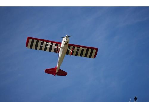 Super Decathlon 100cc ARF na Arena.pl