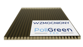 Poliwęglan komorowy ProBrand, WZMOCNIONY 4000x1050 dymiony brąz 10mm