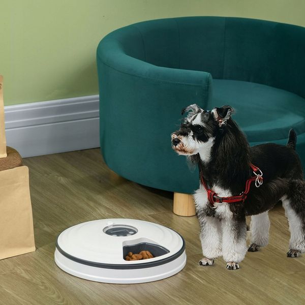 Automatyczny Podajnik Dozownik Karmy Dla Psa I Kota Miska Timer Czasowy zdjęcie 8