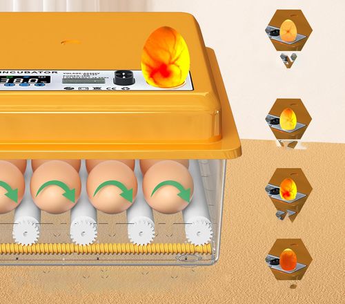 UŻYWANE/NIEKOMPLETNY Inkubator automatycznydo jaj Chalixion FT16 na Arena.pl
