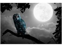 60X40CM BŁĘKITNA SOWA OBRAZ