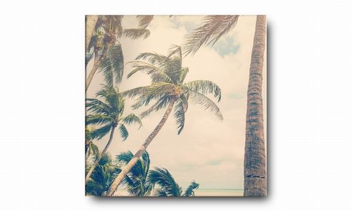 OBRAZ NA PŁÓTNIE 076 Palmy 40x40cm na Arena.pl