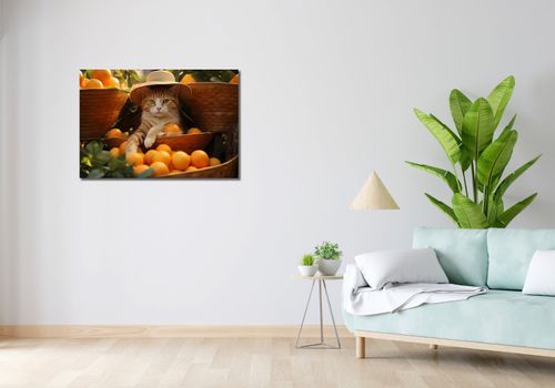 Obraz 90x60cm Letni Odpoczynek na Arena.pl