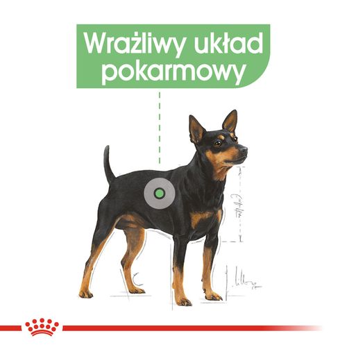 royal canin mini digestive care 1kg na Arena.pl