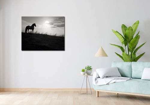 Obraz 90x70cm Księżycowa Straż na Arena.pl