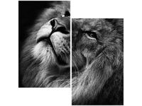 60X60CM SREBRNY LEW DWU OBRAZ ŚCIAN