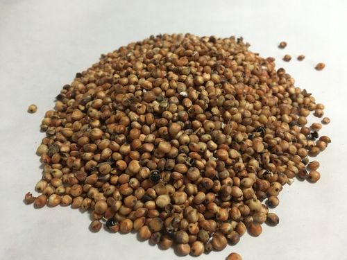 Pasza karma ziarna dla kur niosek bez GMO susz marchew pokrzywa NATURALNA na Arena.pl