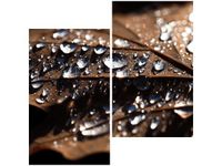 60X60CM WCZESNA JESIEŃ JENNY DOWNING DWU OBRAZ ŚCIAN