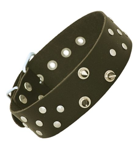 Obroża z kolcami i puklami na Arena.pl