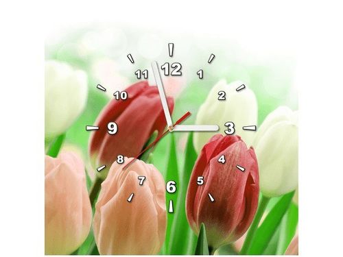 40X40CM ZEGAR CZERWONE TULIPANY OBRAZ na Arena.pl