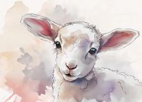 product-compare-59395123