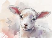 Plakat 18x13cm Mała Owieczka
