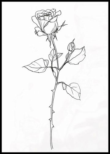 Plakat 64x90cm Kontur Róży na Arena.pl