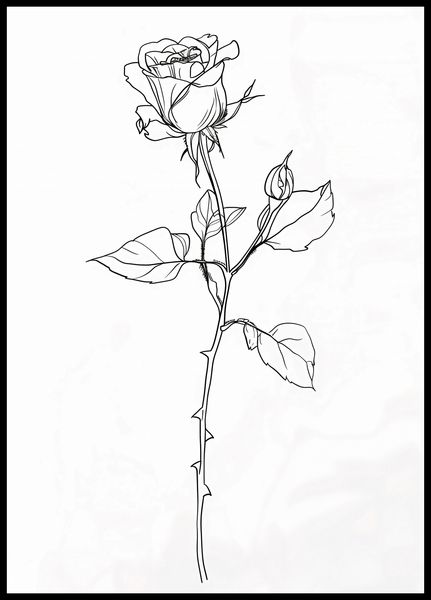 Plakat 64x90cm Kontur Róży zdjęcie 2