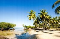 FOTOTAPETA WIDOK KRAJOBRAZ PLAŻA PALMY WODA DRZEWA