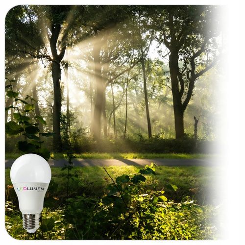 Zestaw 6x Żarówka LED E27 15W=100W 1521lm 240° Brak Migotania Ciepła na Arena.pl