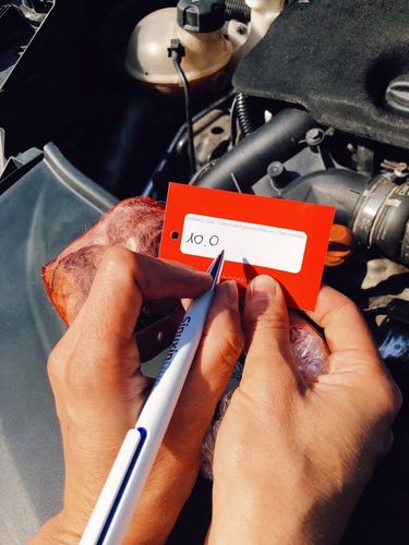 NATURALNY ODSTRASZACZ NA KUNY DO SAMOCHODU KUNAGONE PRZECIWKO KUNOM na Arena.pl