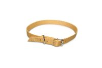 A-011 OBROŻA DLA PSA TAŚMA 25MM 44-59CM Kolor - Złoty