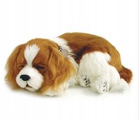 Piesek interaktywny Perfect Petzzz Szczeniaczek Cavalier King Charles
