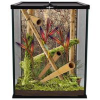 REPTI PLANET terrarium szklane 20x20x30cm
