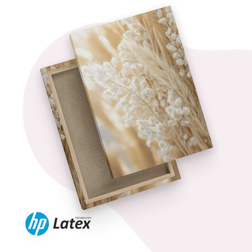 Obrazy Do Salonu Set Trawa Pampasowa Bawełna Boho Natura 90cm x 40cm na Arena.pl