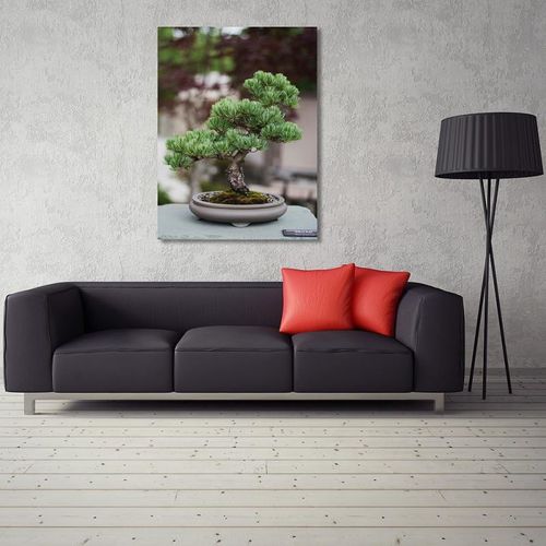 Deco Panel, Bonsai 30x40 na Arena.pl