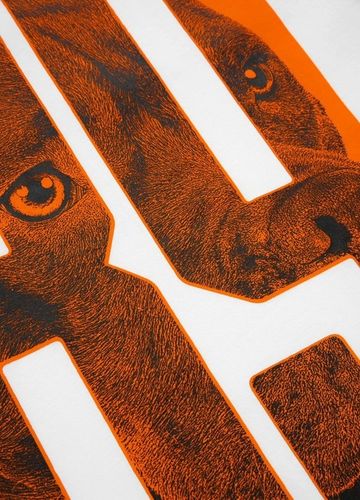 KOSZULKA MĘSKA PIT BULL T-SHIRT PODKOSZULEK BLUZKA PITBULL na Arena.pl